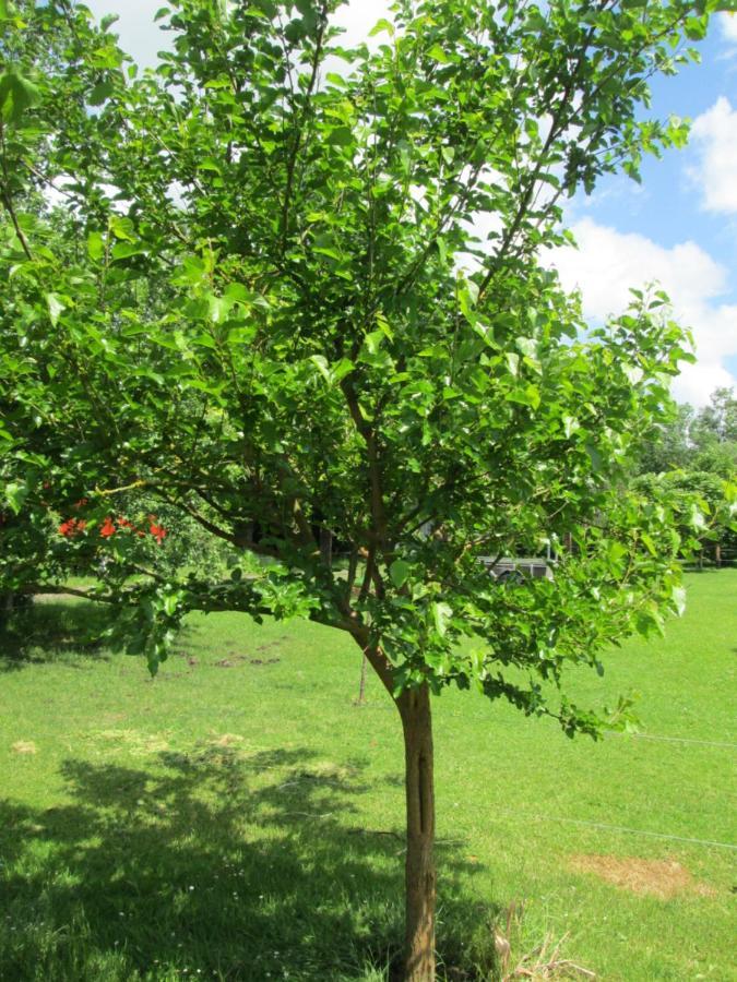 Florennes Gite Neuf 150 M2 Devant Un Grand Lac Prive De 2 Hectares Poissonneux Au Milieu Des Bois Exterior foto
