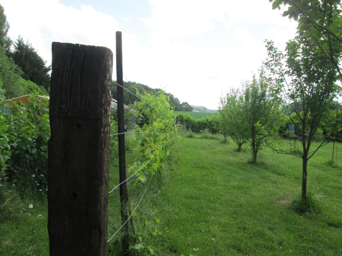 Florennes Gite Neuf 150 M2 Devant Un Grand Lac Prive De 2 Hectares Poissonneux Au Milieu Des Bois Exterior foto