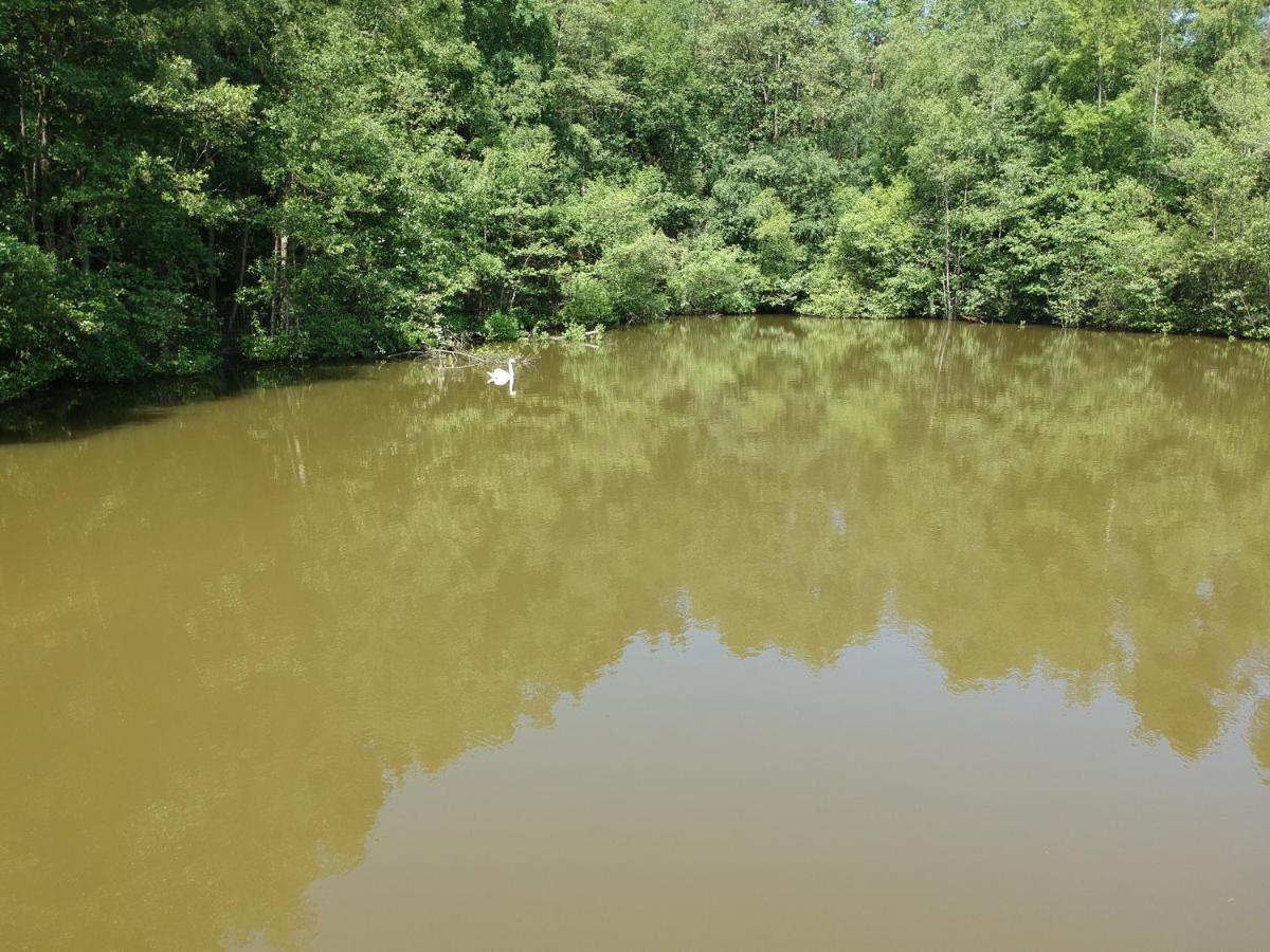 Florennes Gite Neuf 150 M2 Devant Un Grand Lac Prive De 2 Hectares Poissonneux Au Milieu Des Bois Exterior foto