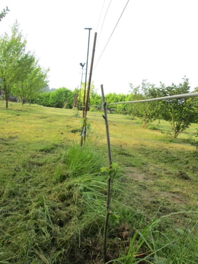 Florennes Gite Neuf 150 M2 Devant Un Grand Lac Prive De 2 Hectares Poissonneux Au Milieu Des Bois Exterior foto