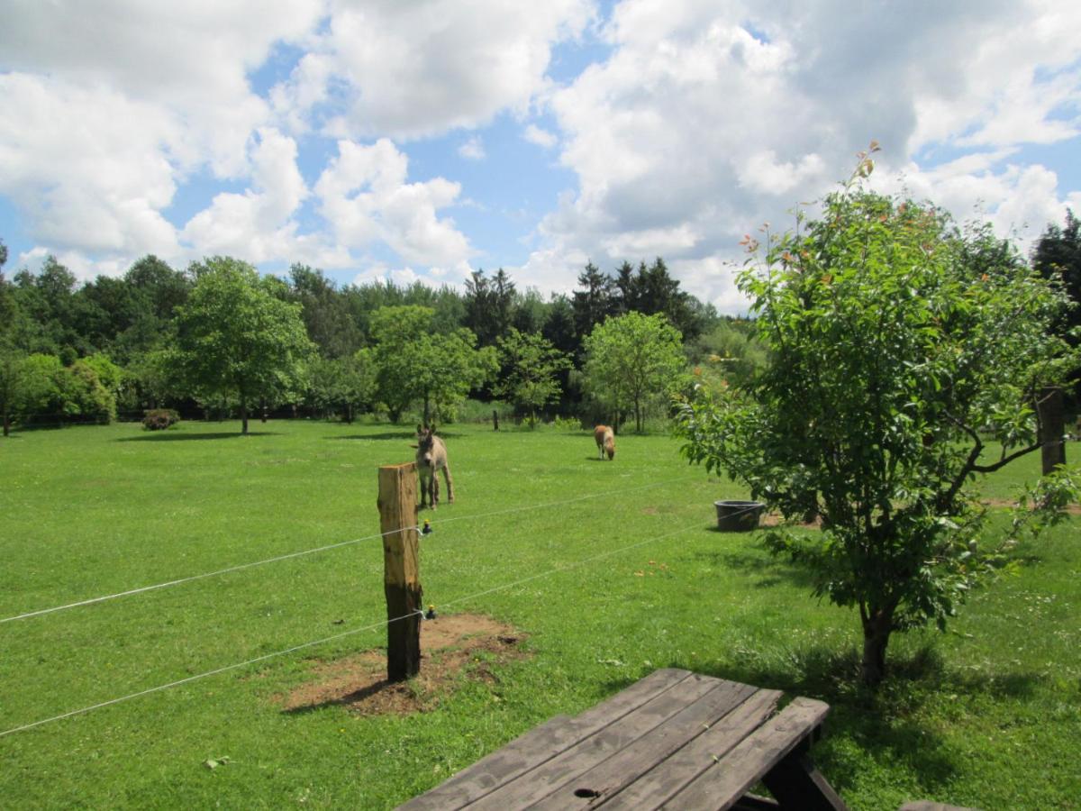 Florennes Gite Neuf 150 M2 Devant Un Grand Lac Prive De 2 Hectares Poissonneux Au Milieu Des Bois Exterior foto
