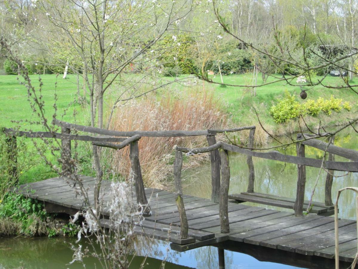 Florennes Gite Neuf 150 M2 Devant Un Grand Lac Prive De 2 Hectares Poissonneux Au Milieu Des Bois Exterior foto