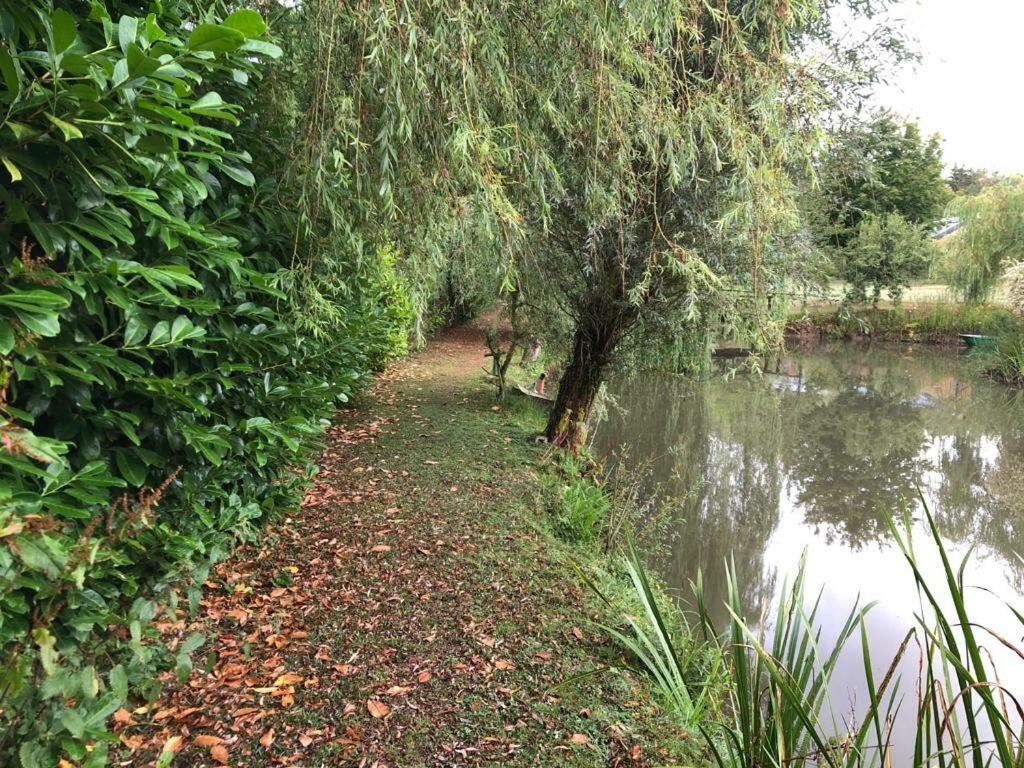 Florennes Gite Neuf 150 M2 Devant Un Grand Lac Prive De 2 Hectares Poissonneux Au Milieu Des Bois Exterior foto